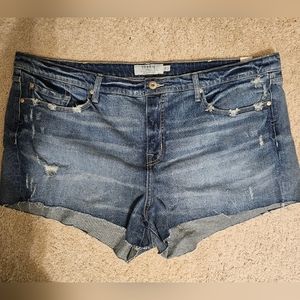 TORRID 3.5 Hi Rise Bull Denim Plus Size Shorts